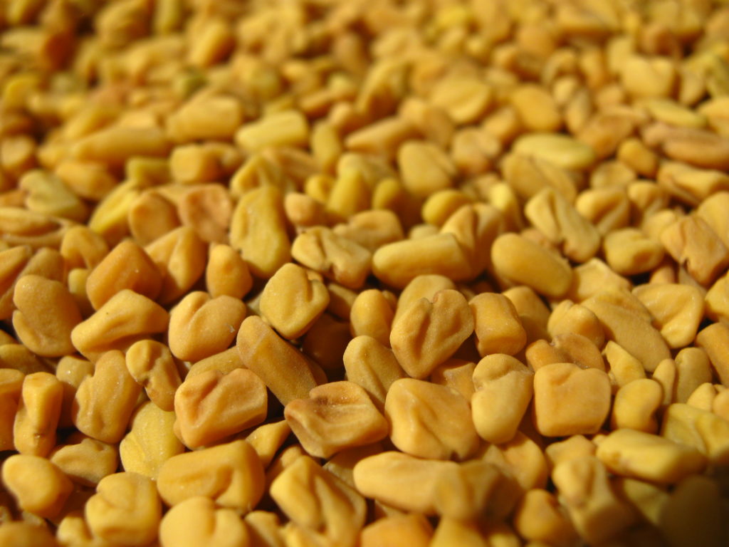 Trigonella Foenum-Graecum Seeds Powder